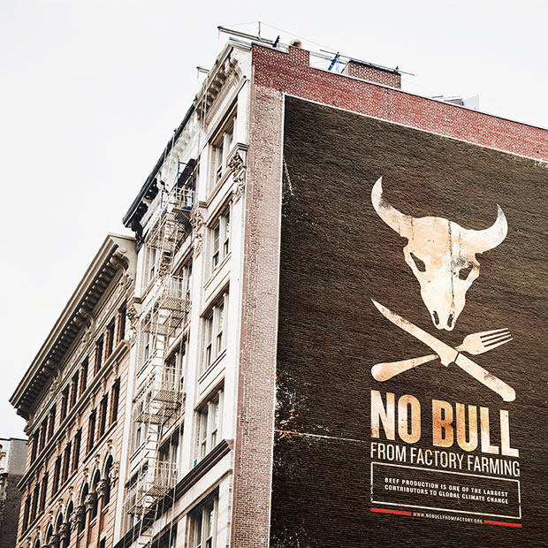 No Bull From Factory Farming - Liz Chang